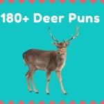Deer Puns