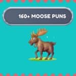 moose Puns